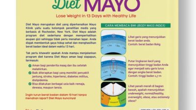 Diet Mayo Adalah